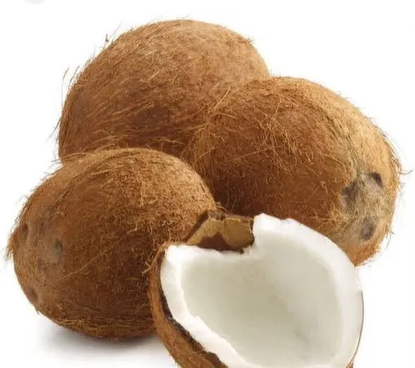 COCUNAT 1 PC